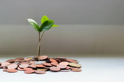 Les chiffres de la générosité en France : dons, tendances et fiscalité