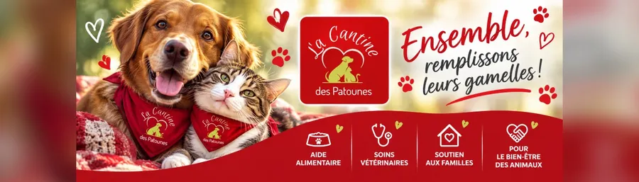 Banner für LA CANTINE DES PATOUNES