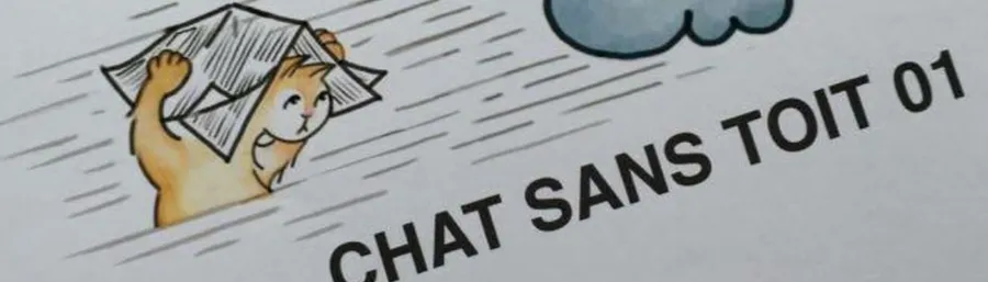 Bannière CHAT SANS TOIT 01